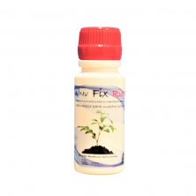 NV FIX Riego 50ml Enzyme Solution